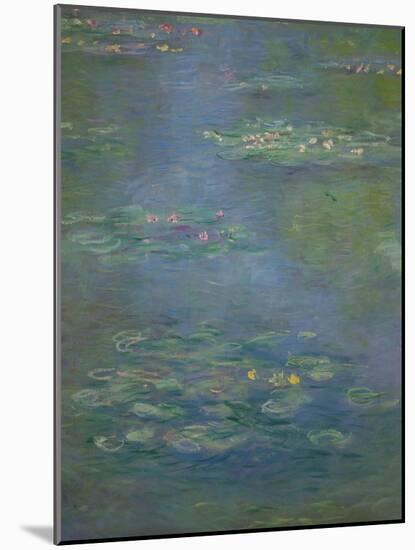 Waterlilies, Detail, 1903-Claude Monet-Mounted Giclee Print