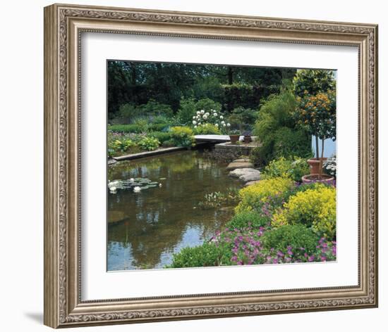 Waterlilies Flower Garden Pond-null-Framed Art Print