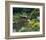 Waterlilies Flower Garden Pond-null-Framed Art Print