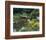 Waterlilies Flower Garden Pond-null-Framed Art Print