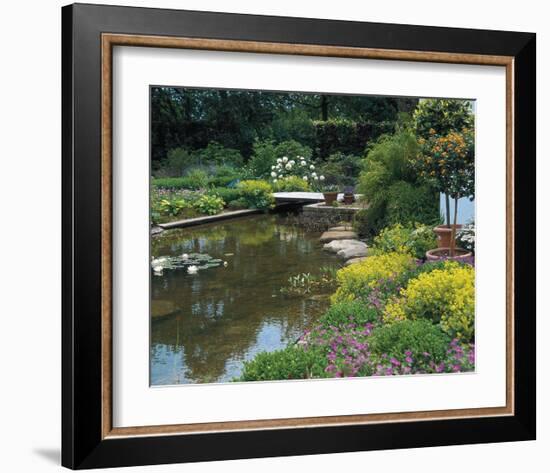 Waterlilies Flower Garden Pond-null-Framed Art Print