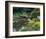 Waterlilies Flower Garden Pond-null-Framed Art Print