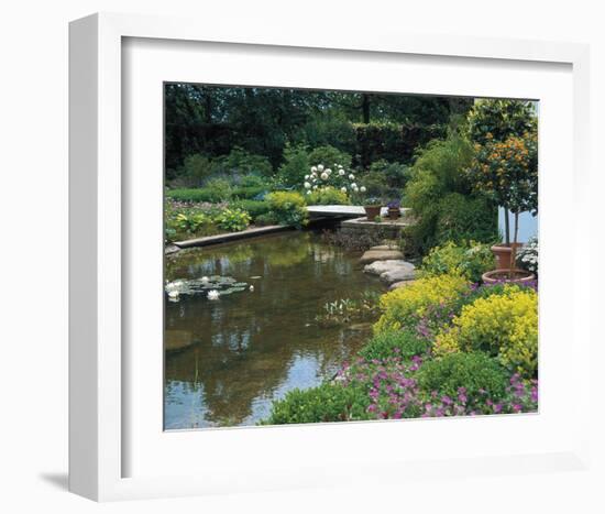 Waterlilies Flower Garden Pond-null-Framed Art Print