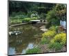 Waterlilies Flower Garden Pond-null-Mounted Art Print