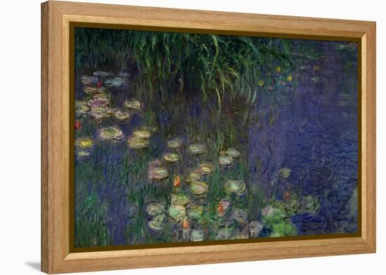 Waterlilies (Les Nympheas), Study of the Morning Water-Claude Monet-Framed Premier Image Canvas