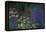 Waterlilies (Les Nympheas), Study of the Morning Water-Claude Monet-Framed Premier Image Canvas