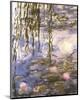 Waterlilies-Claude Monet-Mounted Art Print