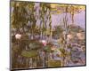 Waterlilies-Claude Monet-Mounted Art Print