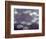 Waterlilies-Claude Monet-Framed Giclee Print