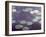 Waterlilies-Claude Monet-Framed Giclee Print