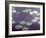 Waterlilies-Claude Monet-Framed Giclee Print