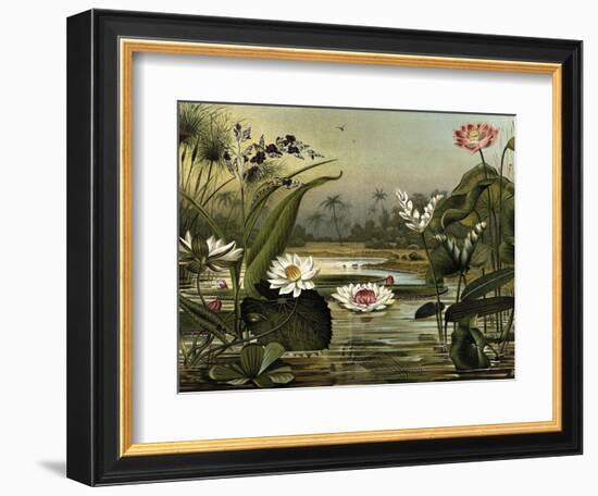 Waterlilies-null-Framed Art Print