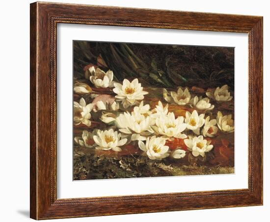 Waterlilies-William Jabez Muckley-Framed Giclee Print