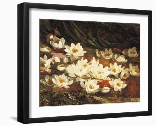 Waterlilies-William Jabez Muckley-Framed Giclee Print