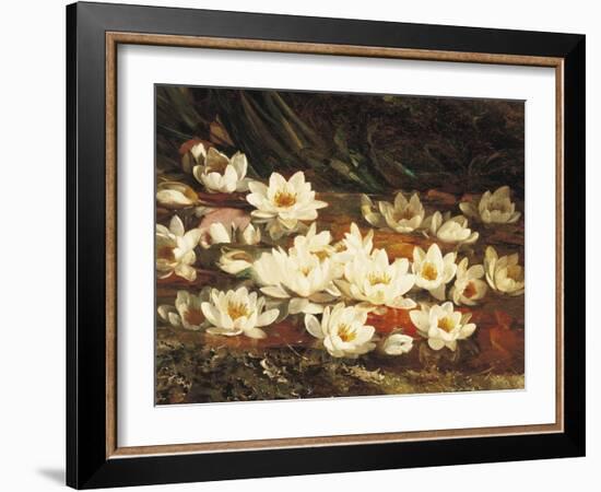 Waterlilies-William Jabez Muckley-Framed Giclee Print