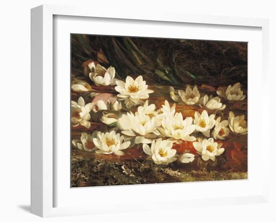 Waterlilies-William Jabez Muckley-Framed Giclee Print