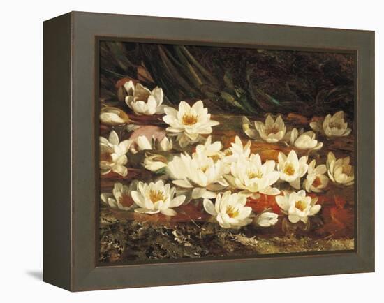 Waterlilies-William Jabez Muckley-Framed Premier Image Canvas