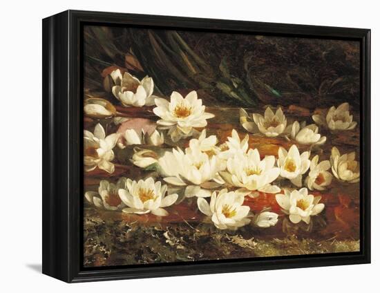 Waterlilies-William Jabez Muckley-Framed Premier Image Canvas