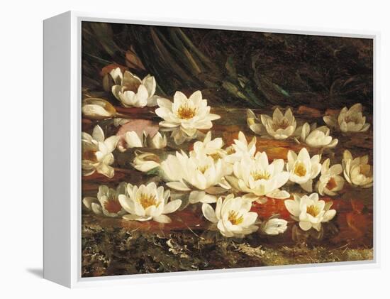 Waterlilies-William Jabez Muckley-Framed Premier Image Canvas