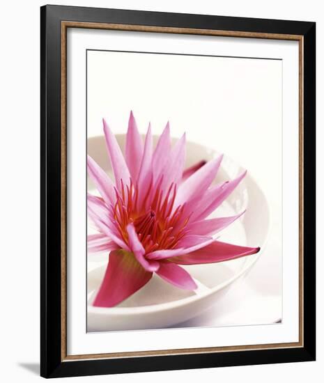 Waterlily and Bowl-null-Framed Art Print