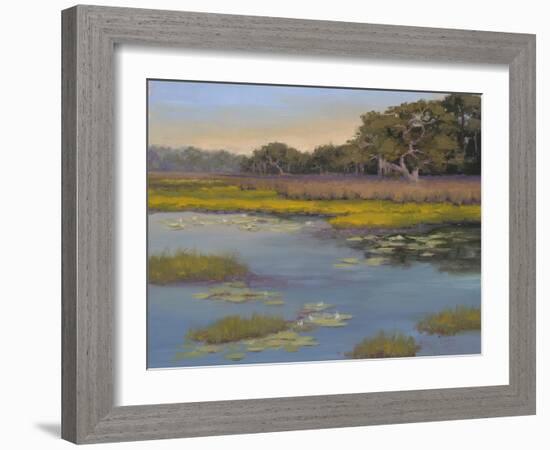 Waterlily Bay-Jill Schultz McGannon-Framed Art Print