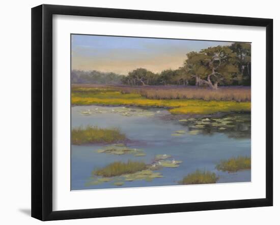 Waterlily Bay-Jill Schultz McGannon-Framed Art Print