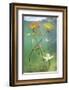 Waterlily flower which has opened underwater in a lake. Alps, Ain, France-Remi Masson-Framed Photographic Print