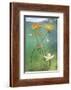 Waterlily flower which has opened underwater in a lake. Alps, Ain, France-Remi Masson-Framed Photographic Print