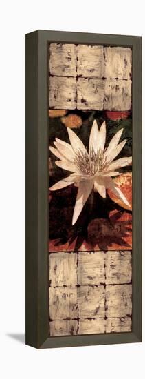 Waterlily Panel I-John Seba-Framed Stretched Canvas