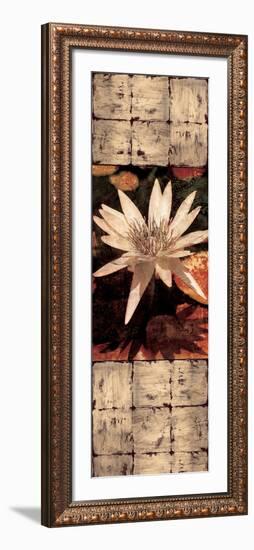 Waterlily Panel I-John Seba-Framed Art Print