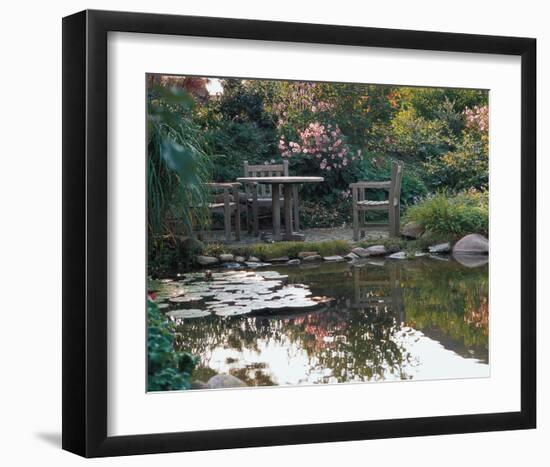 Waterlily Pond-null-Framed Art Print