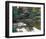 Waterlily Pond-null-Framed Art Print