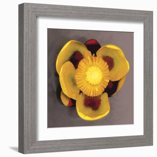 Waterlily-Erin Clark-Framed Art Print