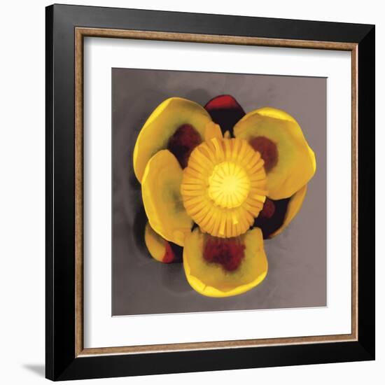 Waterlily-Erin Clark-Framed Art Print