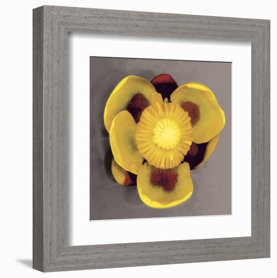 Waterlily-Erin Clark-Framed Art Print