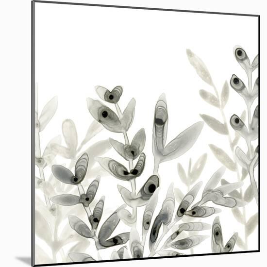 Watermark Foliage IV-June Vess-Mounted Art Print