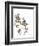 Watermark Wildflowers IV-Jennifer Goldberger-Framed Art Print