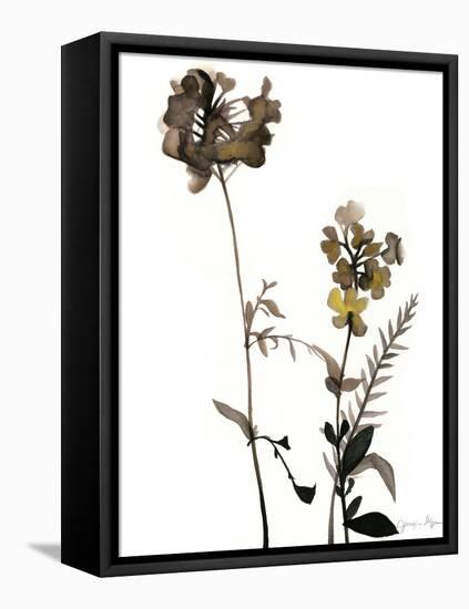 Watermark Wildflowers V-Jennifer Goldberger-Framed Stretched Canvas