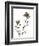 Watermark Wildflowers VI-Jennifer Goldberger-Framed Art Print