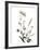 Watermark Wildflowers X-Jennifer Goldberger-Framed Art Print