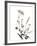 Watermark Wildflowers X-Jennifer Goldberger-Framed Art Print