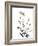 Watermark Wildflowers X-Jennifer Goldberger-Framed Art Print