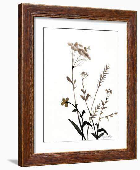 Watermark Wildflowers X-Jennifer Goldberger-Framed Art Print