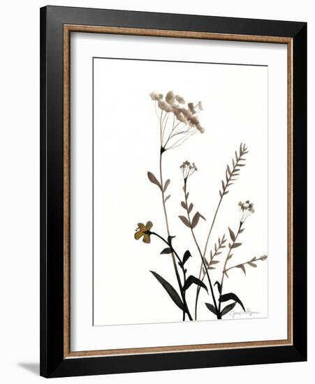 Watermark Wildflowers X-Jennifer Goldberger-Framed Art Print