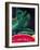 Watermelon and Green Bananas, 2002-Pedro Diego Alvarado-Framed Giclee Print