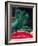 Watermelon and Green Bananas, 2002-Pedro Diego Alvarado-Framed Giclee Print