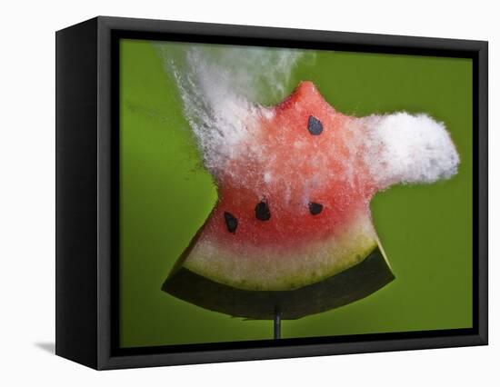 Watermelon Explosion-Alan Sailer-Framed Premier Image Canvas