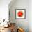 Watermelon Slice-Steve Gadomski-Framed Photographic Print displayed on a wall