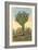 Watermelon Tree, Freak Saguaro Cactus-null-Framed Art Print