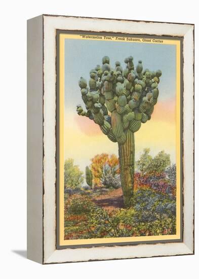 Watermelon Tree, Freak Saguaro Cactus-null-Framed Stretched Canvas